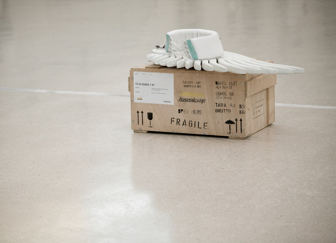 "birdywork"-performance-Albertinum-Museumssommernacht-Juli-2010